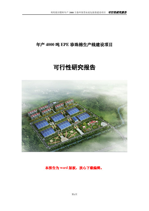 EPE珍珠棉项目可行性研究报告案例