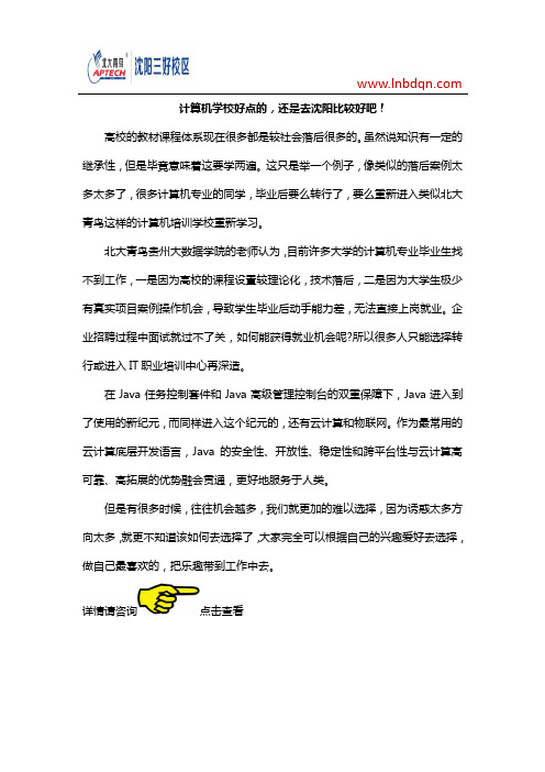 计算机学校好点的,还是去沈阳比较好吧!