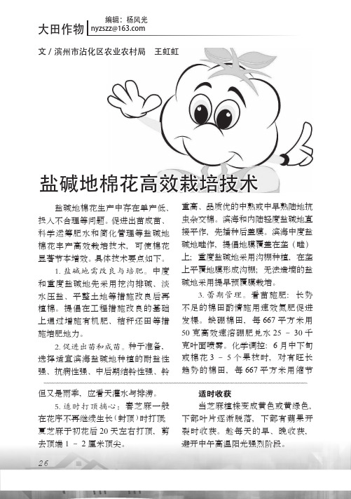 盐碱地棉花高效栽培技术