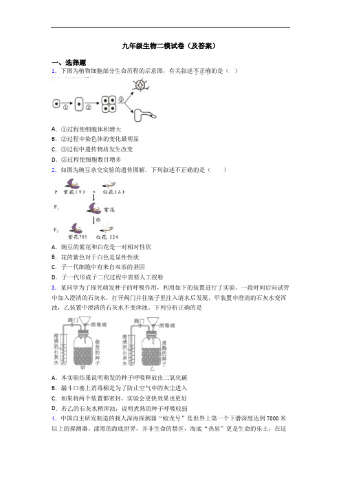 九年级生物二模试卷(及答案)