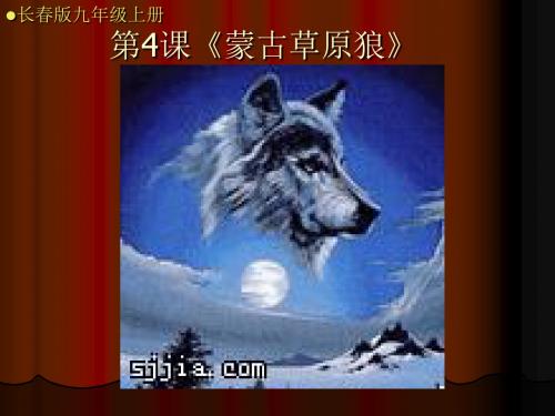 蒙古草原狼课件