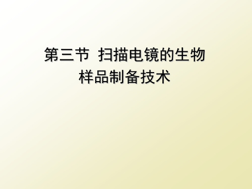 扫描电子显微镜生物制样