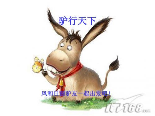 驴行天下