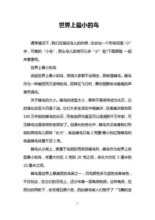 世界上最小的鸟