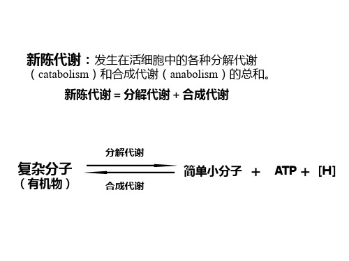 微生物的代谢 (2)