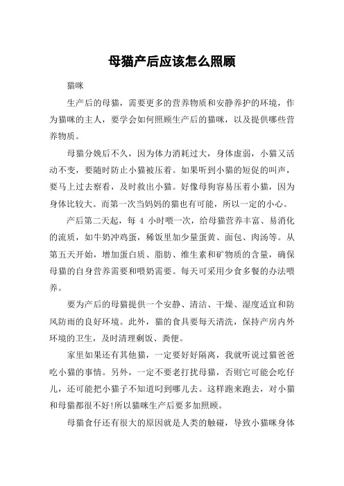 母猫产后应该怎么照顾