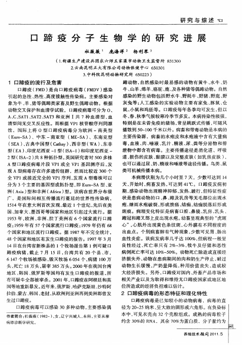 口蹄疫分子生物学的研究进展