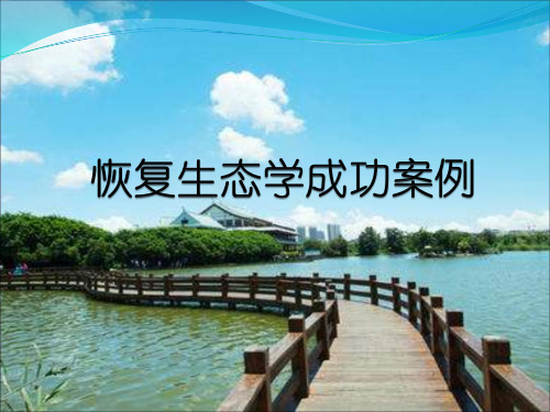 恢复生态成功案例