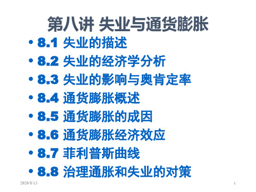 第八讲失业与通货膨胀培训教材