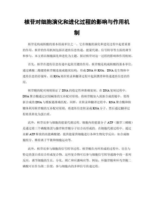 核苷对细胞演化和进化过程的影响与作用机制