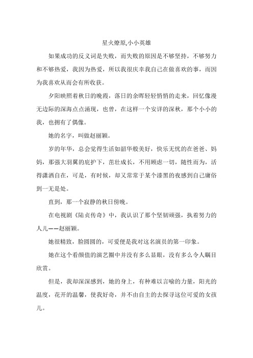 星火燎原小小英雄-作文