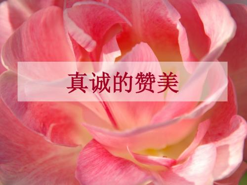 真诚的赞美