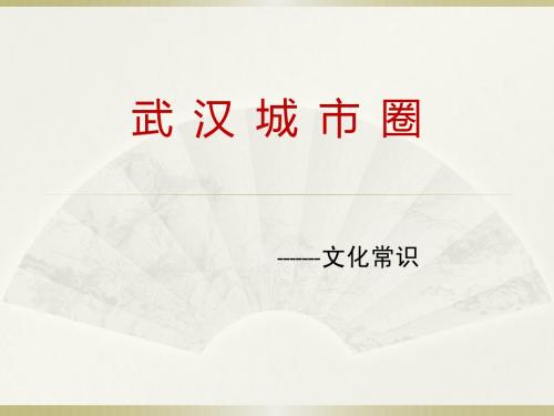 武汉城市圈课件