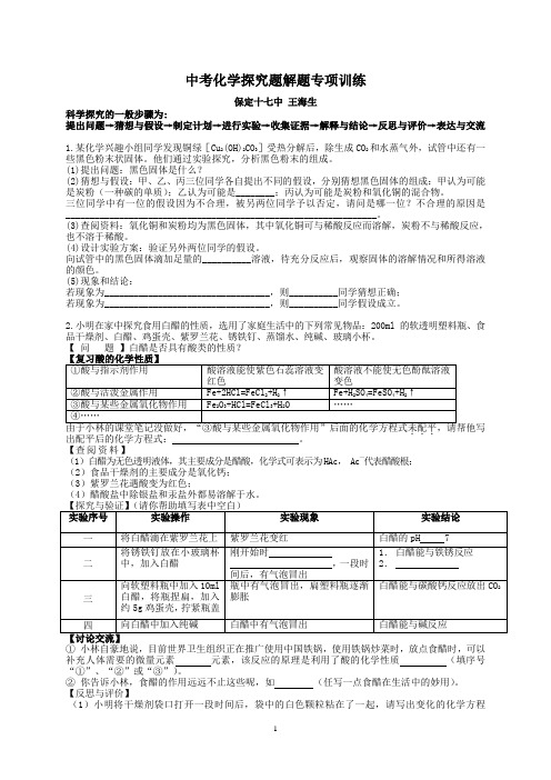 中考化学实验探究专项训练(河北)