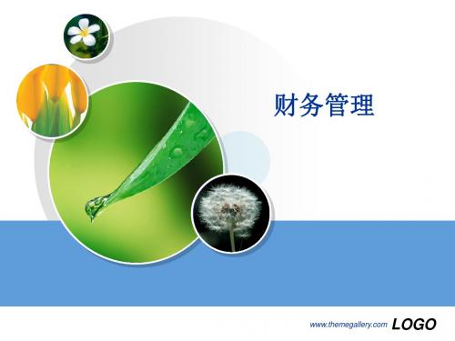 初级财务管理(第1章)