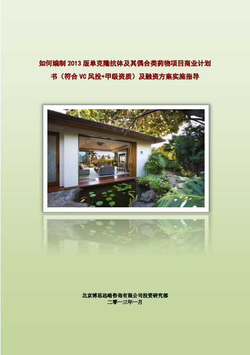 如何编制2013版单克隆抗体及其偶合类药物项目商业计划书(符合VC风投+甲级资质)及融资方案实施指导