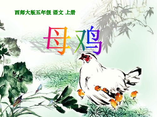 《母鸡》精品ppt课件2