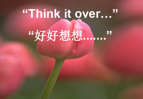 英语演讲PPT中英文对照ppt课件