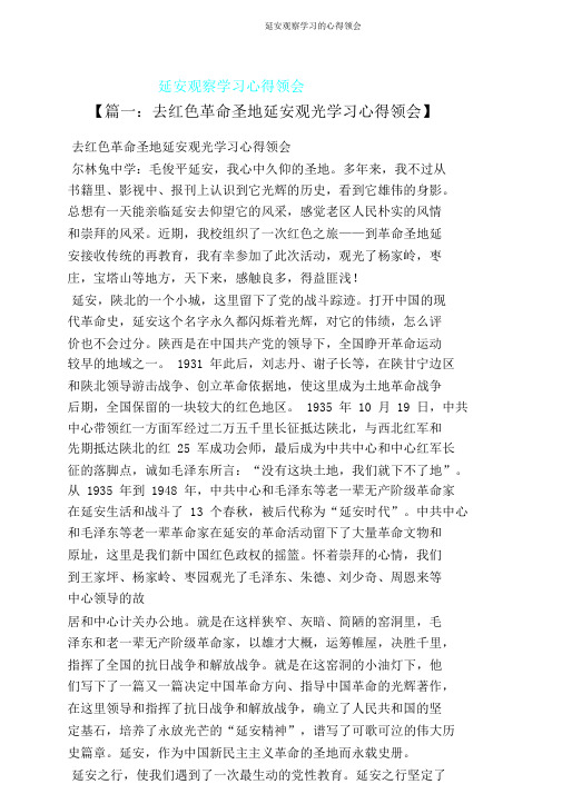 延安考察学习心得体会