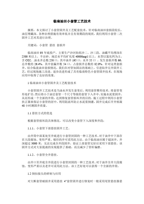 临南油田小套管工艺技术