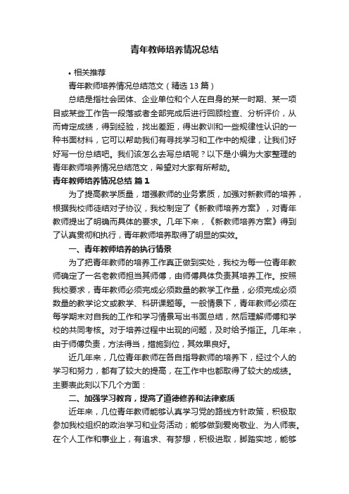 青年教师培养情况总结