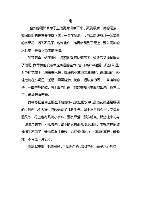 五年级作文：雨作文450字_1