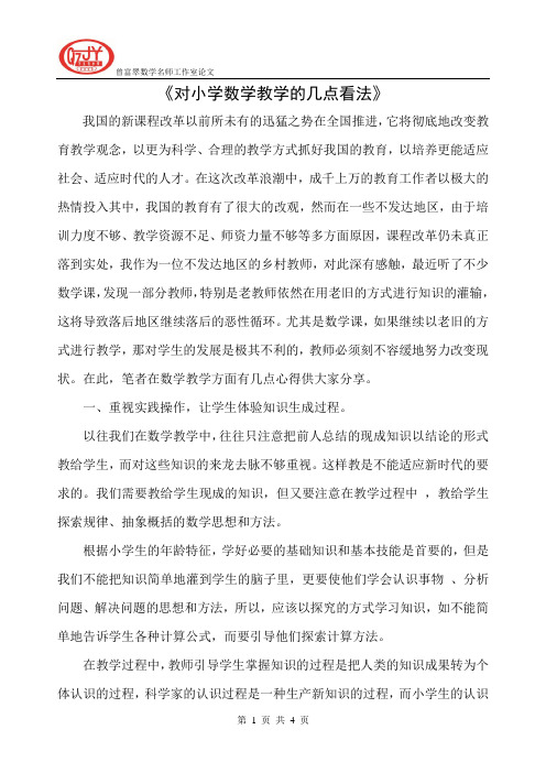 《对小学数学教学的几点看法》