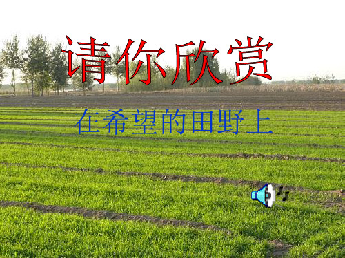 《中国的现代化之路》课件.ppt