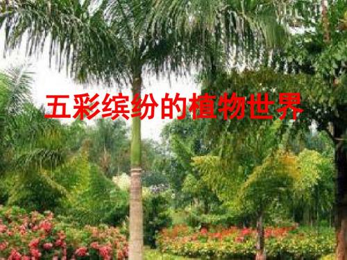 苏教版初中生物八上第5单元第十四章第一节《五彩缤纷的植物世界》课件(共29张PPT)