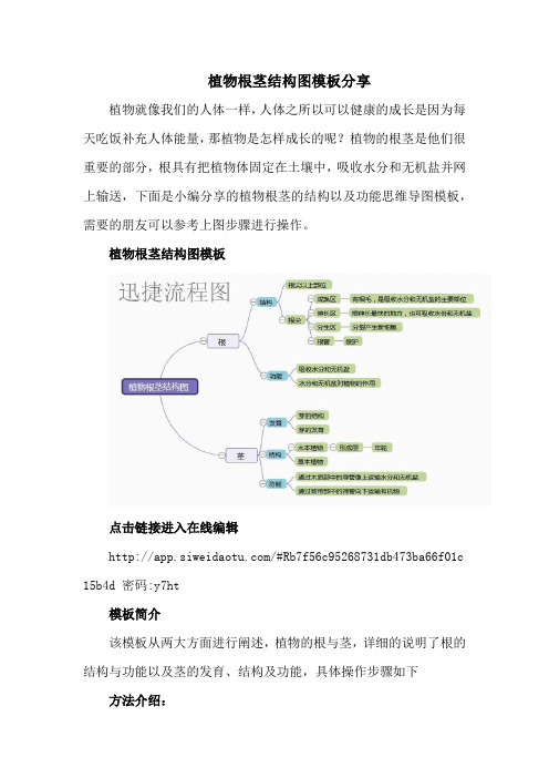 植物根茎结构图模板分享