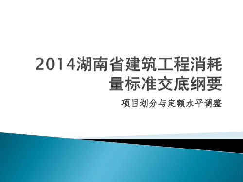 2014湖南省建筑工程定额交底