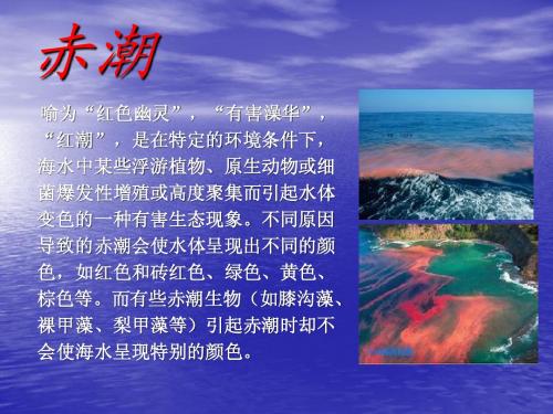 赤潮