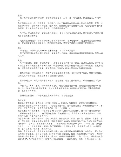 兔子养殖