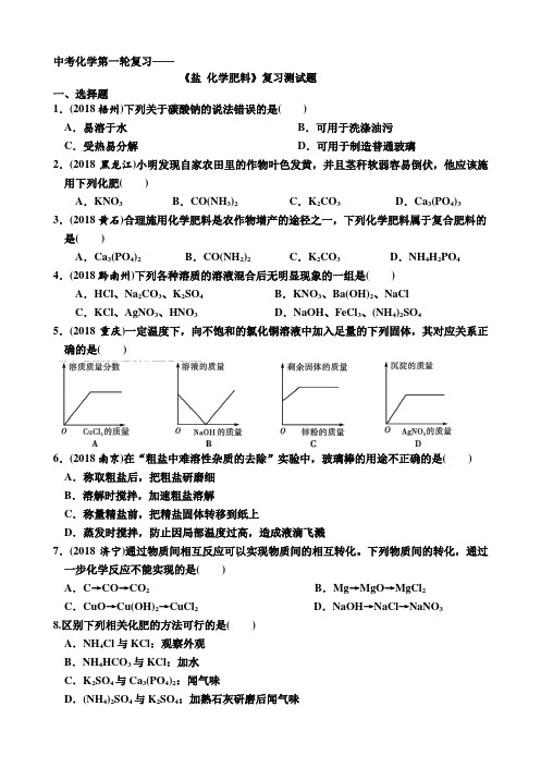 人教版九年级化学中考第一轮复习—《盐  化学肥料》过关测试试题(有答案)