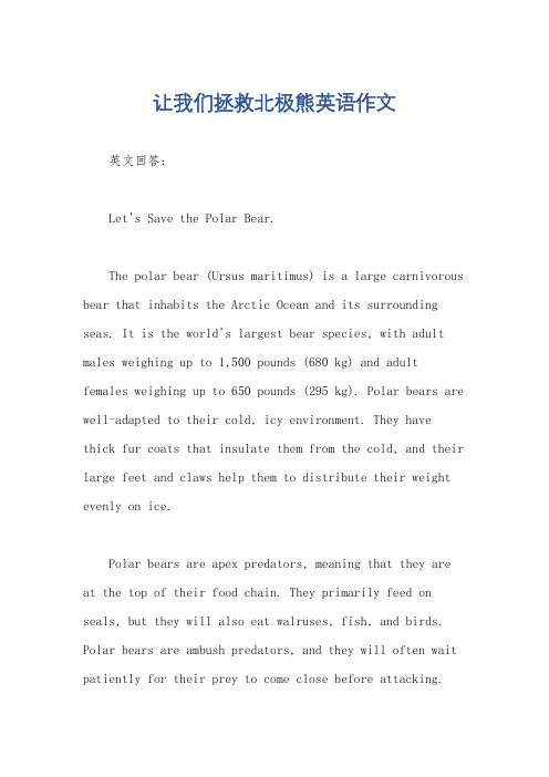 让我们拯救北极熊英语作文
