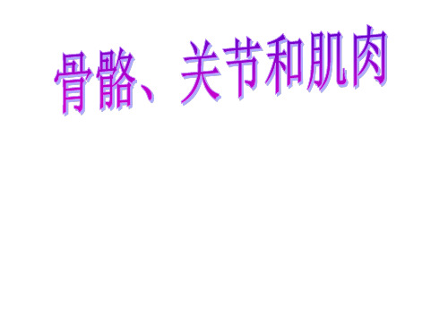 四年级上 骨骼、关节和肌肉教科版ppt