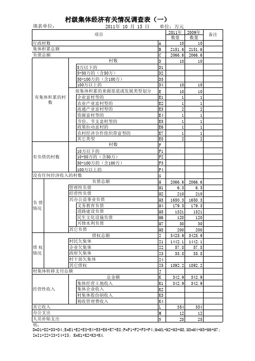 村级集体经济调查表