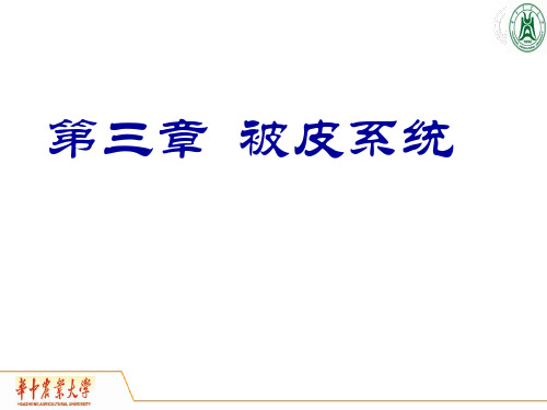《畜禽解剖学》教学课件：被皮系统