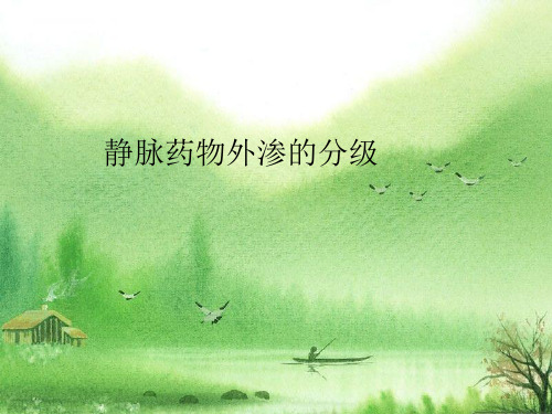 静脉药物外渗的分级.ppt