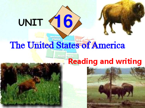 高二英语 The United States of America课件