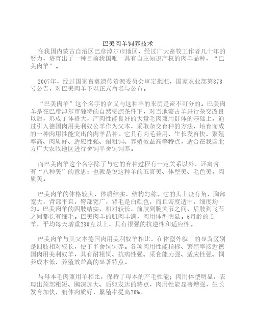 巴美肉羊饲养技术
