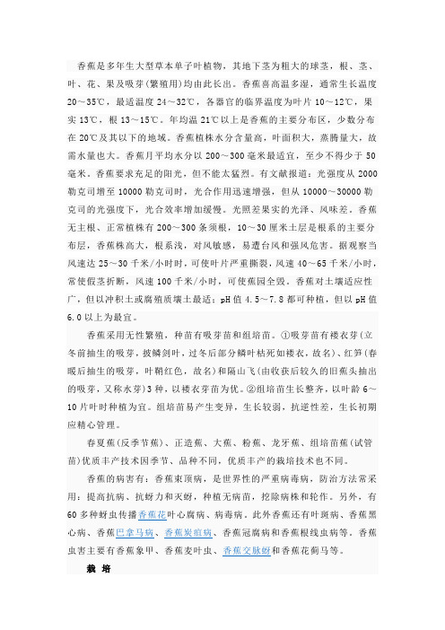 香蕉知识