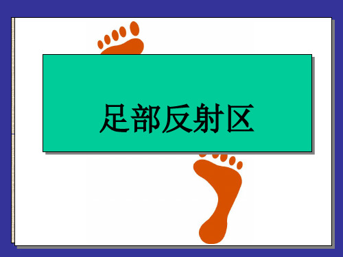 足部反射区健康法学习ppt课件