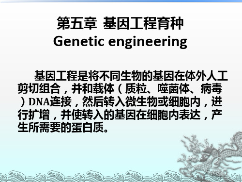 第五章基因工程育种-微生物遗传育种PPT课件