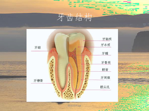 《口腔保健讲座》PPT课件