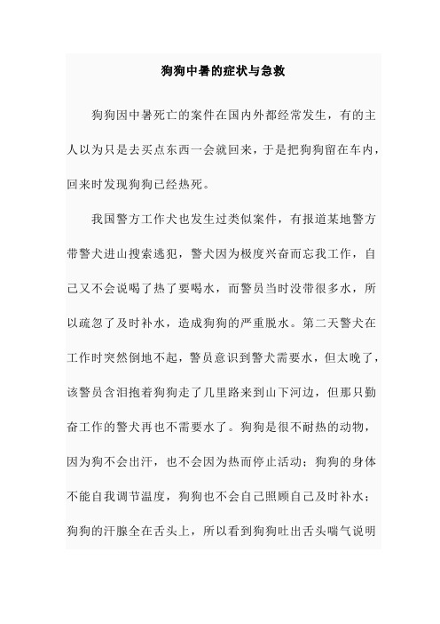 【课外阅读】狗狗中暑的症状与急救