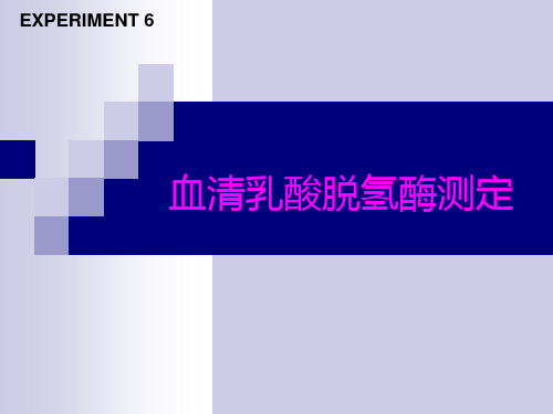 血清乳酸脱氢酶测定