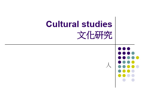 American Multiculturalism文化研究
