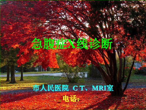 急腹症x线诊断 ppt课件