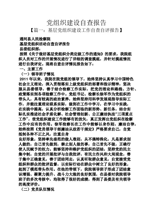 工作报告之党组织建设自查报告